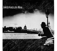 Watermelon Man-12"