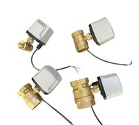 Waterproof Motorized Ball Valve Brass IP65 Three-Wire two-control Three-Wire one-control 220V 24V 12V Can Replace Solenoid Valve(220VAC_CR04)
