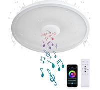Waterproof Smart Led Ceiling Light With Bluetooth Speaker, Rgb Function, Adjustable Light, Tuya App Control, Compatible With Alexa And Google Home