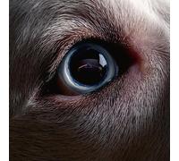 WATERS - DARK SIDE OF THE MOON REDUX - CD - D1111z