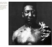 Waters Muddy - After the Rain