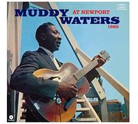 Muddy Waters – At Newport 1960 – in-akustik