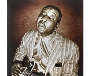 Waters, Muddy - Blues Master Works