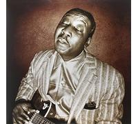 Waters, Muddy - Blues Master Works-LP+CD [Import]