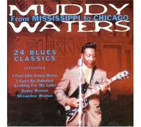 Waters,Muddy - From Mississippi to Chicago