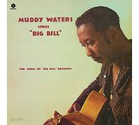 Waters Muddy / Sings Big Bill Broonzy