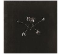 Waterstrider - Nowhere Now [Vinyl] Download Insert