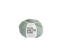 WATG Wool and the Gang Crazy Sexy Laine 200 g 80 m Vert eucalyptus