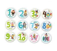 WATIIFUFU Ensemble De Pièces bébé mensuel autocollants décalcomanie d'étape mensuelle pour bébé animal décor d'autocollant de bébé autocollants de logos nouveau né stickers bébé stickers