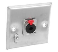 WATIIFUFU Plaque Murale en Métal Argenté Connecteur XLR Femelle 6,35 Mm, Accessoire Solide pour Installation Système Audio Amplificateur Karaoké à Domicile