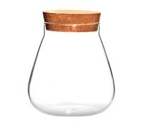 WATIIFUFU Vase Transparent en Verre Borosilicate Bouchon en Liège Marron, Pot de Rangement Multifonctionnel pour Pierres Colorées et Desserts, Décoration pour Chambre ou Présent