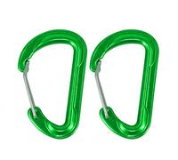Watreketal 2pcs Spring Snaps Hook Small Mountaineering Buckle D Clip en Forme De À Grimpant Carabiner Kekchains Metal Spring Mountaine De Boucle