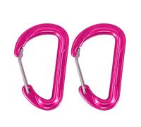 Watreketal 2pcs Spring Snaps Hook Small Mountaineering Buckle D Clip en Forme De À Grimpant Carabiner Kekchains Metal Spring Mountaine De Boucle