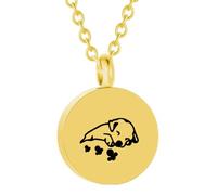 Watreketal Collier pour Animaux De Compagnie pour Cendres Crémation Collier Bijoux Bijoux