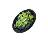 Watreketal Panier de protection pour plantes flottantes avec maille fine ronde pour fleurs et poissons