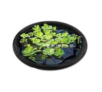 Watreketal Panier de protection pour plantes flottantes avec maille fine ronde pour fleurs et poissons
