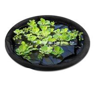 Watreketal Panier de protection pour plantes flottantes avec maille fine ronde pour fleurs et poissons