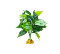 Watreketal Reptiles Terrariums Reptiles Réservoirs Ornements Grimpent Les Feuilles De Repos pour Les Amphibiens des Lézards Et des Décorations D'aquariums De Serpent