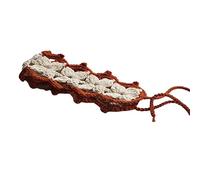 Watreketal Serre Tete,Turban en crochet coloré pour filles douces, bandana creux, résistant au soleil, couvre-chef de camping, joli foulard pour cheveux