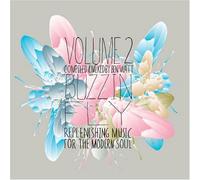 Watt, Ben - Buzzin Fly 2