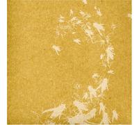 Watt, Ben - Outspoken Part 1