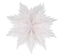 Watt & Veke Étoile de Noël Oslo Ø80 cm Blanc