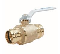 Watts 88005494 Robinet à pression 3/4 en laiton