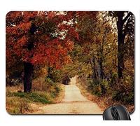 Watts, Ernie - Long Road Home