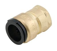 Watts LF4710-1008 LF4715-10 CTS Raccord femelle en laiton sans plomb 1/2" NPT