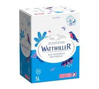 Wattwiller Fontaine d'Eau Minérale Naturelle 5L