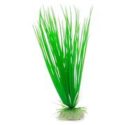 Amtra Plante pour aquariophilie WAVE Acorus Classique Taille M