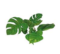 WAVE Anubias Plante Réplique pour Aquariophilie 15 cm