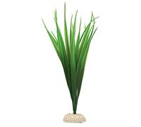 WAVE Bambou Plante Classique pour Aquariophilie Taille M
