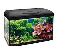 WAVE Basic 60 Aquarium avec Lampe LED pour Aquariophilie