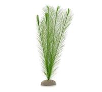 WAVE Blyxa Plante Classique pour Aquariophilie Taille L