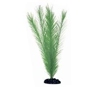 WAVE Blyxa Plante Classique pour Aquariophilie Taille M