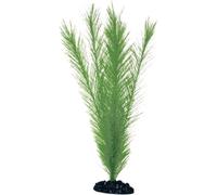 WAVE Blyxa Plante Classique pour Aquariophilie Taille S