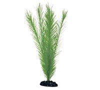 WAVE Blyxa Plante Classique pour Aquariophilie Taille S