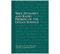 Wave Dynamics And Radio Probing Of The Ocean Surface