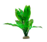 WAVE Echinodorus Plante Classique pour Aquariophilie Taille L