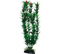 WAVE Egeria Plante avec Fleur Classique pour Aquariophilie Bicolore Taille L