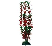 WAVE Ludwigia Plante Classique pour Aquariophilie Taille L