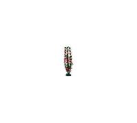 Wave Ludwigia Plante Classique Pour Aquariophilie Taille M