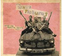 Wave Pictures the - Great Big Flamingo Burning