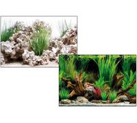 Wave - Poster Aquarium - Wonder - Hauteur 60 Cm - Au Mètre