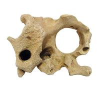 WAVE Rocher de Décoration Roche Gallura pour avec Trou Aquariophilie Beige Taille M
