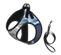 Wave Stripe2 Harnais avec laisse pour petit chien Motif imprimé