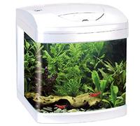 WAVE Xcube Aquarium avec Lampe LED pour Aquariophilie Blanc 26 L