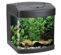 WAVE Xcube Aquarium avec Lampe LED pour Aquariophilie Noir 26 L