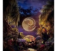 Waves Rush In - Under The Static [Vinyl] [Import]
